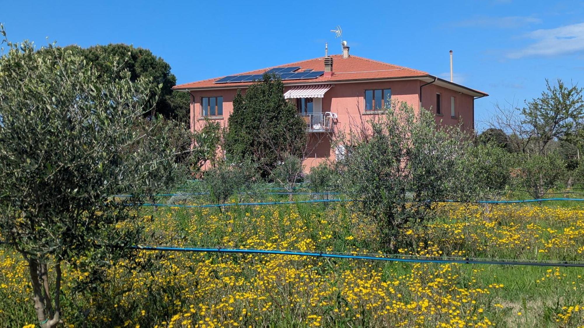 Casa Rurale Сан Винченцо Екстериор снимка
